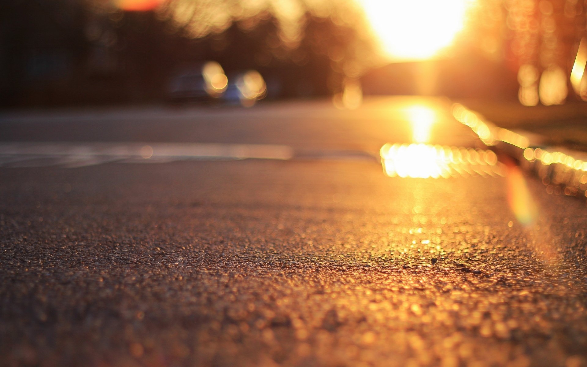 close-up-land-asphalt-sun-rays-bokeh-blur-background-wallpaper